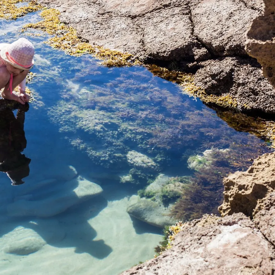Exploring the shoreline at low tide on a North Cornwall beach
